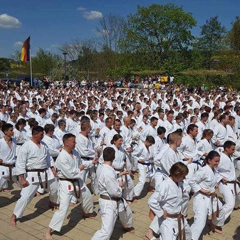 Karate-Sportler zeigen ihr Können in Tauberbischofsheim
