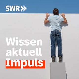 Podcastbild SWR Impuls (Foto: Unsplash)